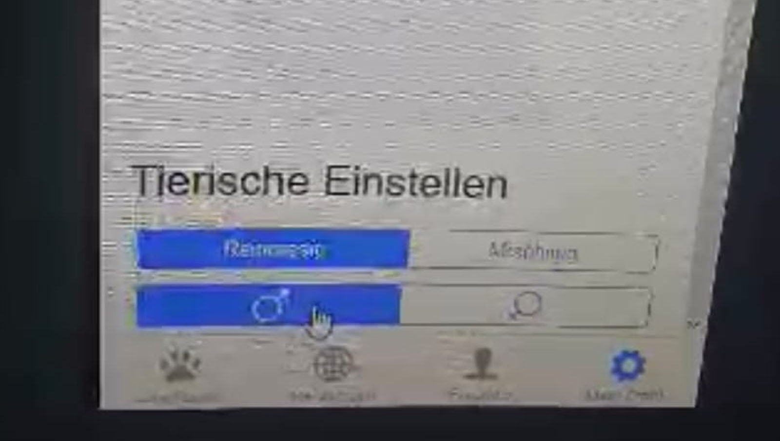 dogtag – App für Hundebesitzer